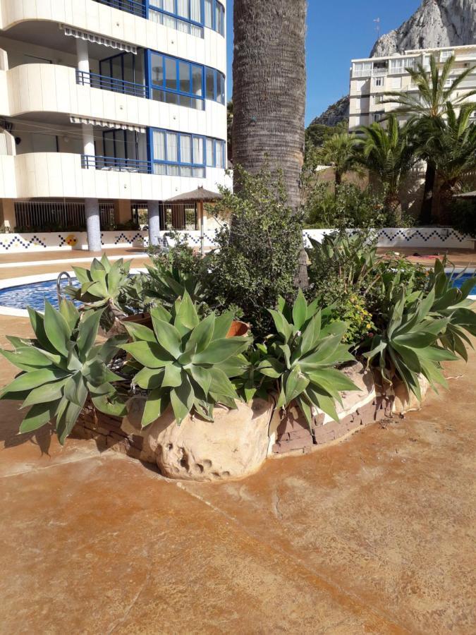 Appartement Equipe Calpe Espagne, 4 Couchages, Terrasse, Piscines, Climatisation, Garage, Wifi Gratuits Εξωτερικό φωτογραφία